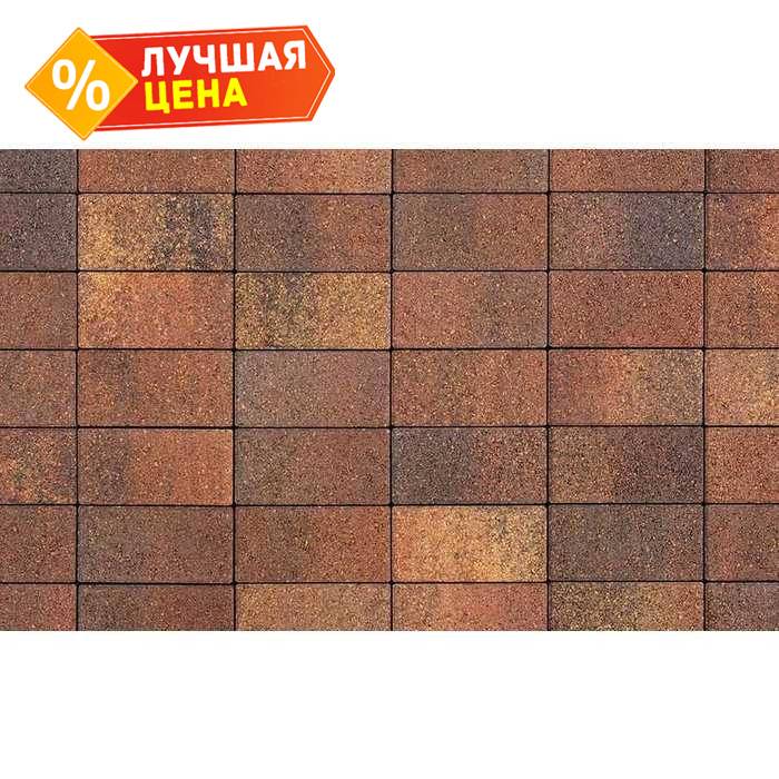 Плитка тротуарная Прямоугольник В.2.П.10 Листопад гранит Арабская ночь 200x100x100 мм