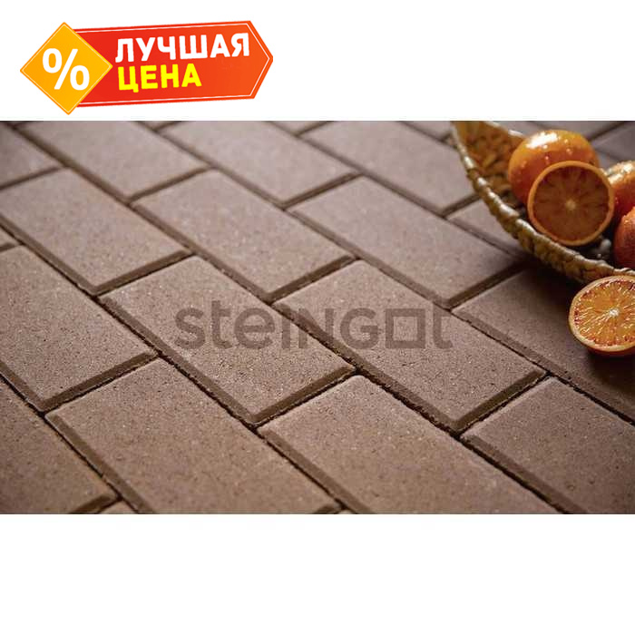 Плитка тротуарная Steingot Моно, Прямоугольник, фаска 5x5, коричневый, 200x100x60 мм